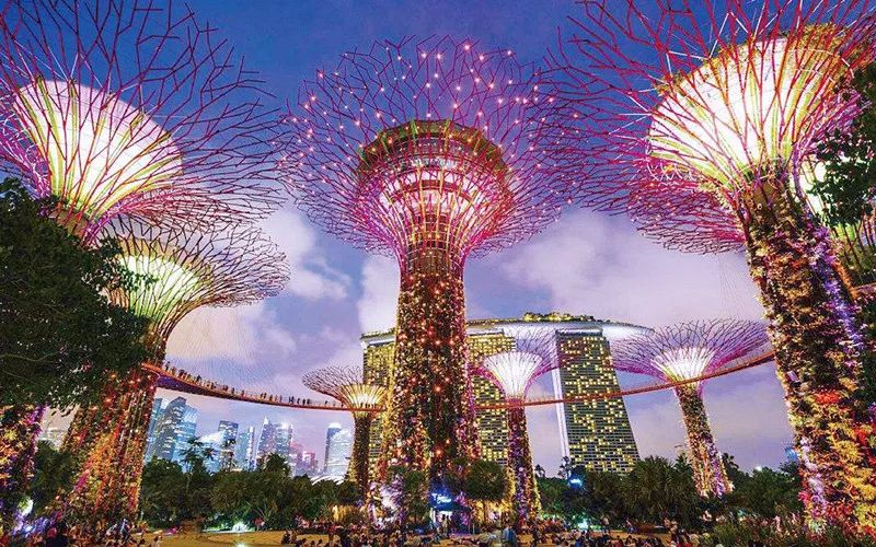TOP1体育全站经销商管理平台注册与资质审核入口图片