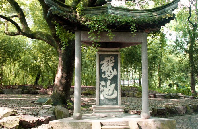 TOP1体育全站商务合作信息公开网站内容管理中心图片